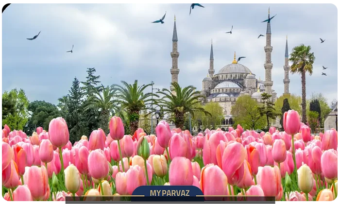 فستیوال گل لاله استانبول